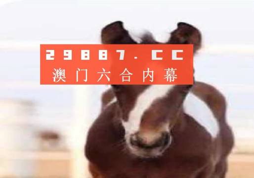 澳门一肖一码100准确最准一,现时解答解释落实_经典款13.354