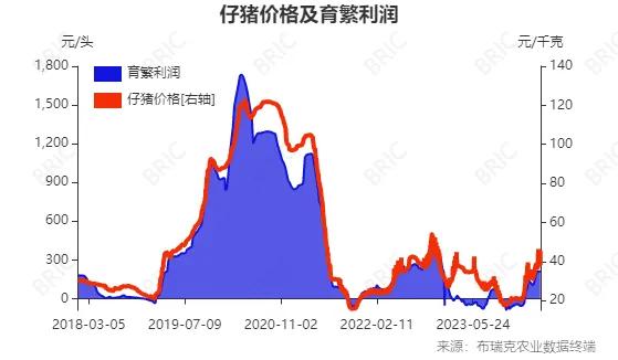 2024澳门六开彩开奖结果查询,协同解答解释落实_FT46.214