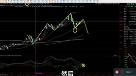 香港特马最正确免费资料,务实解答解释落实_The52.16